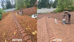 Yeti Gutter & Roof Cleaning 01