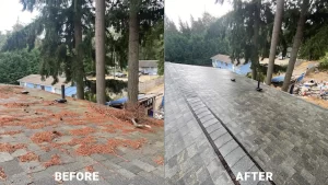 Yeti Gutter & Roof Cleaning 14
